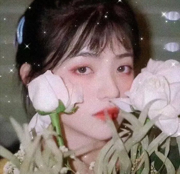三生三世十里桃花
